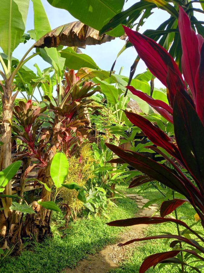 Banana Grove El Nido Hotel Екстериор снимка