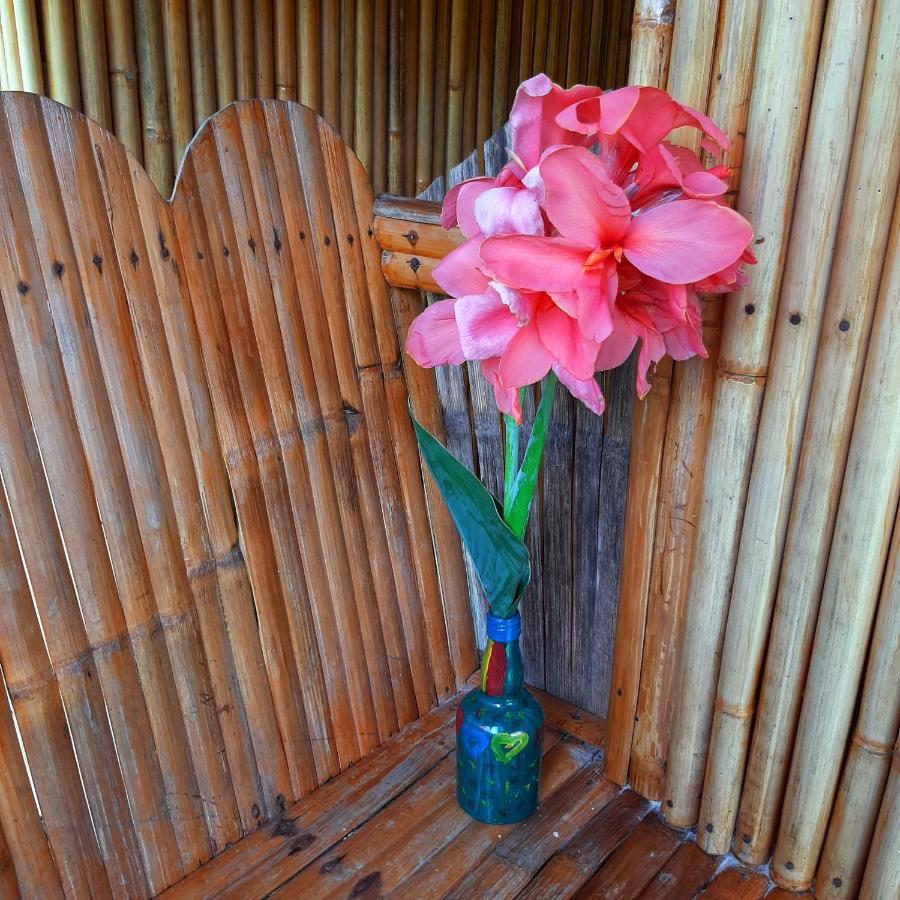 Banana Grove El Nido Hotel Екстериор снимка