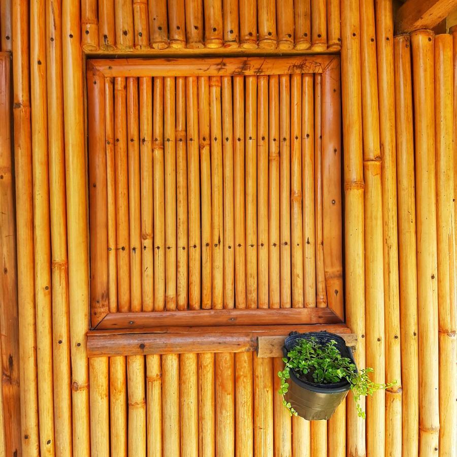 Banana Grove El Nido Hotel Екстериор снимка