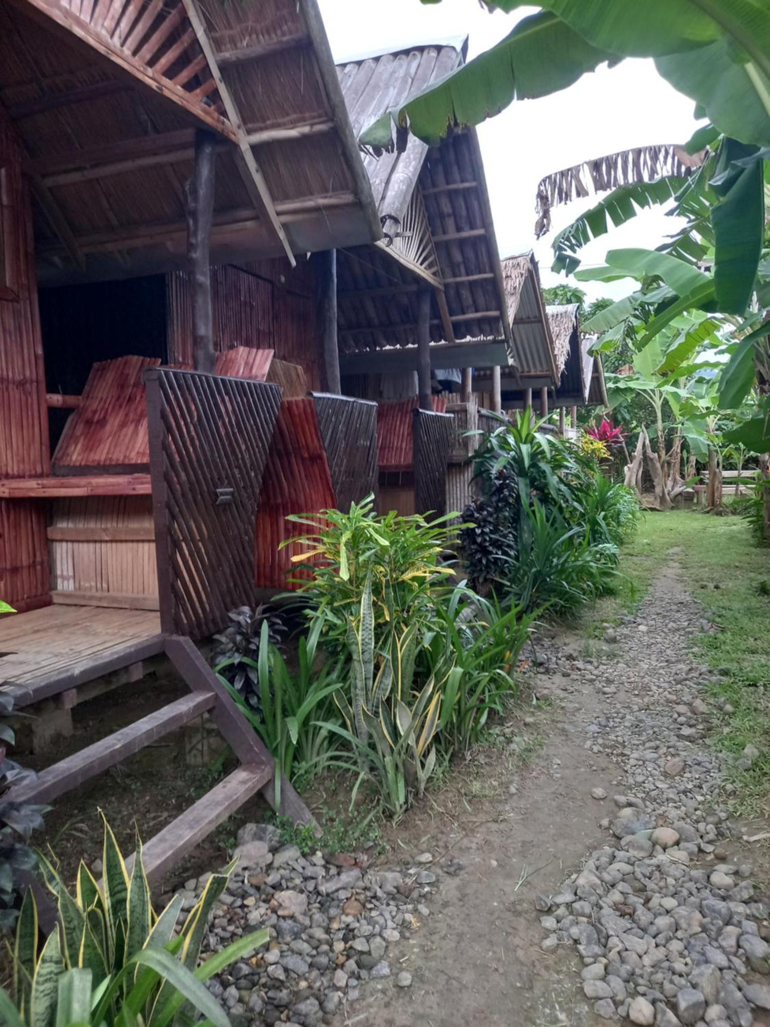 Banana Grove El Nido Hotel Стая снимка